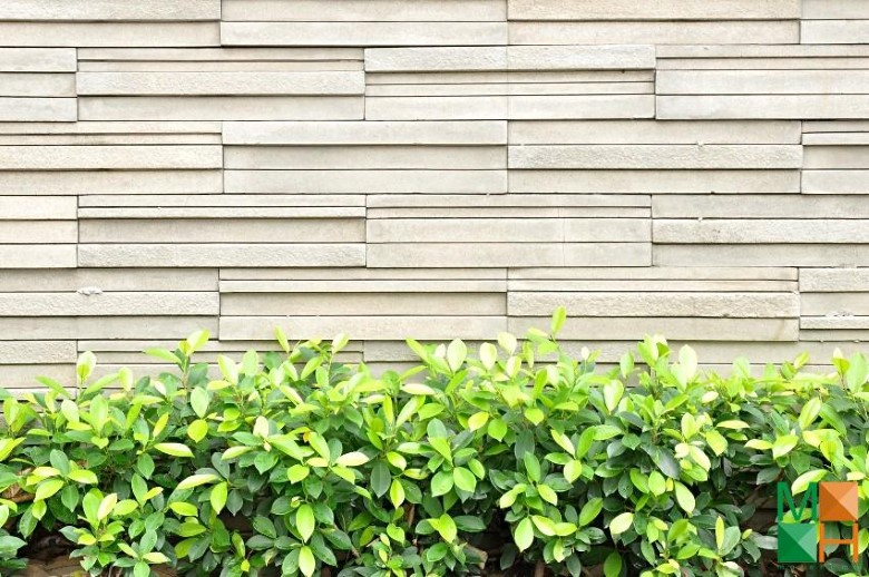 Tranh dán tường cho phòng khách đẹp tại Hà Nội NA - 034